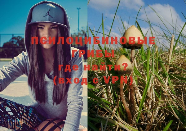 Альфа ПВП Ростов