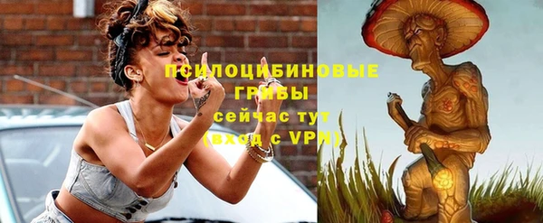 прущие грибы Россошь