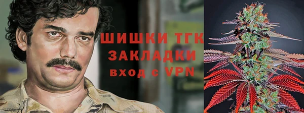 прущие грибы Россошь